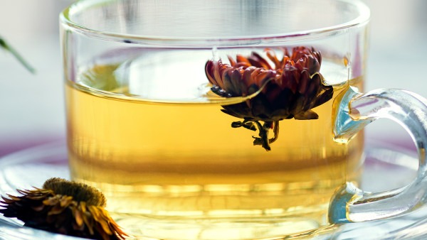 秋冬养生喝什么茶可以抵御干燥？秋季养生喝什么茶？